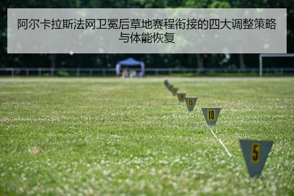 a-er-ka-la-si-fa-wang-wei-mian-hou-cao-di-sai-cheng-xian-jie-de-si-da-tiao-zheng-ce-lve-yu-ti-neng-hui-fu-2-592.jpg